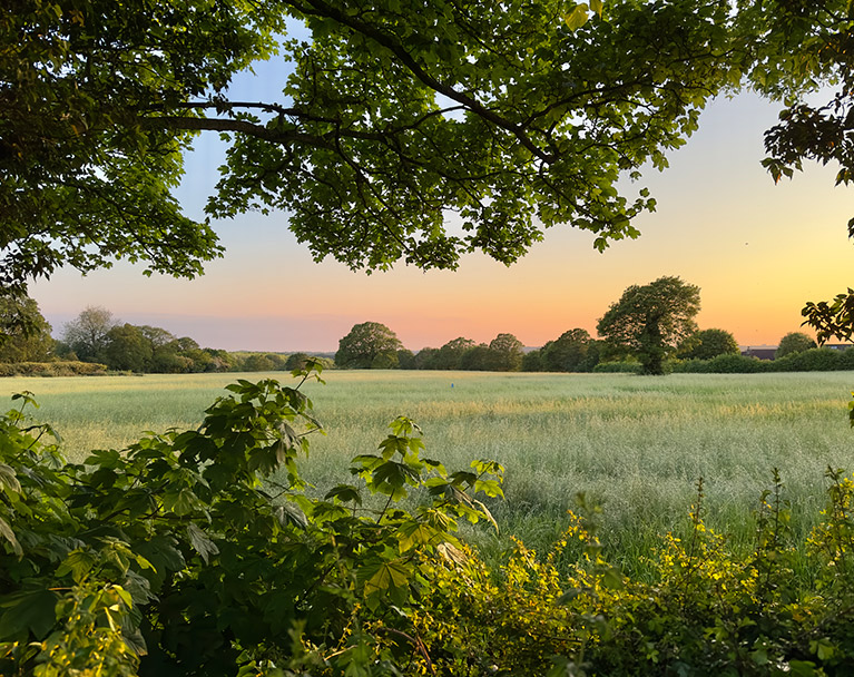 Countryside landscape in Essex