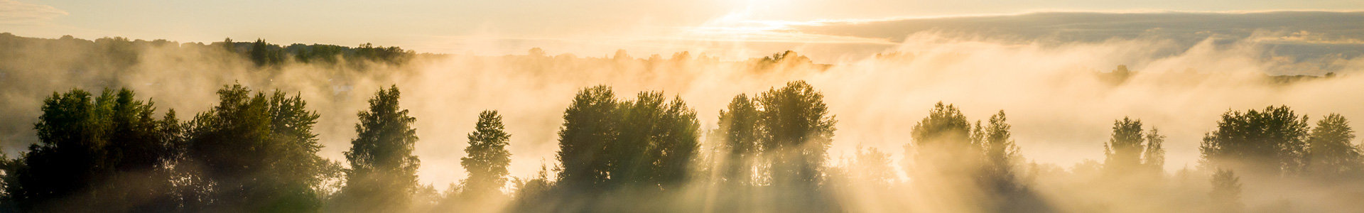 Early morning mist around a tree line with the sun rise in the background