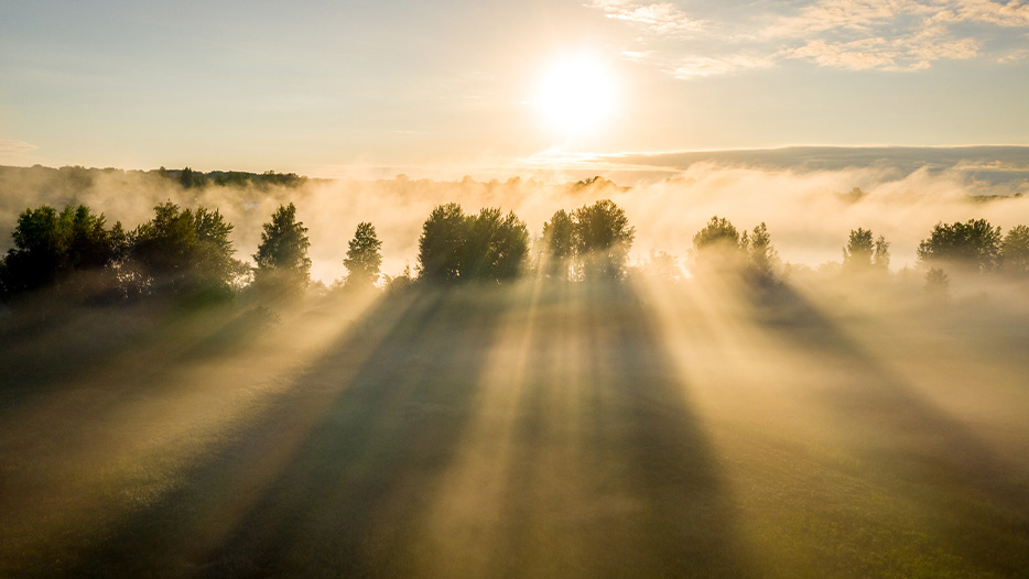 Early morning mist around a tree line with the sun rise in the background