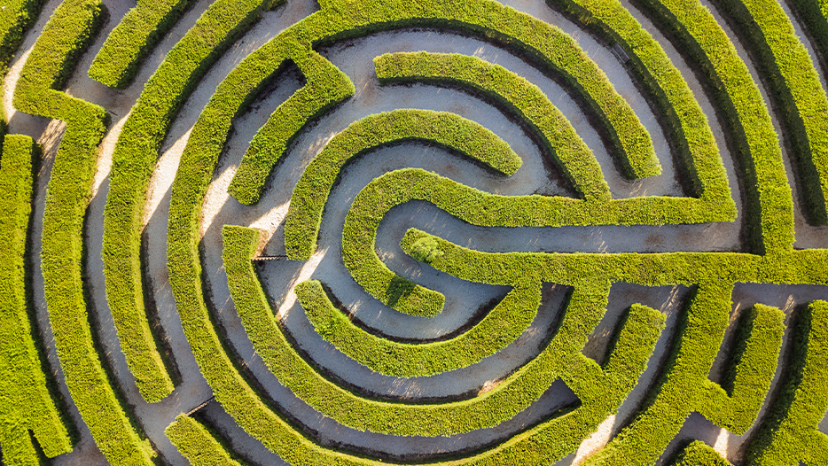 Garden maze made with bushes