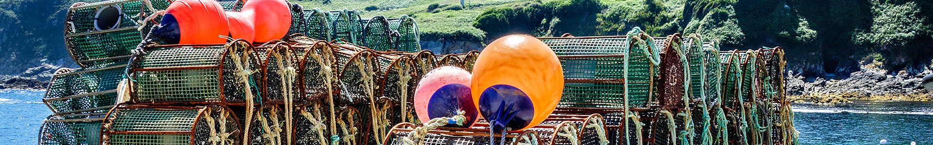 Lobster Pots