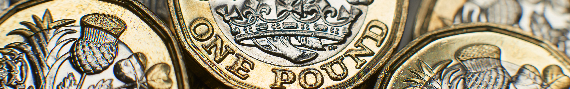 Pound coins