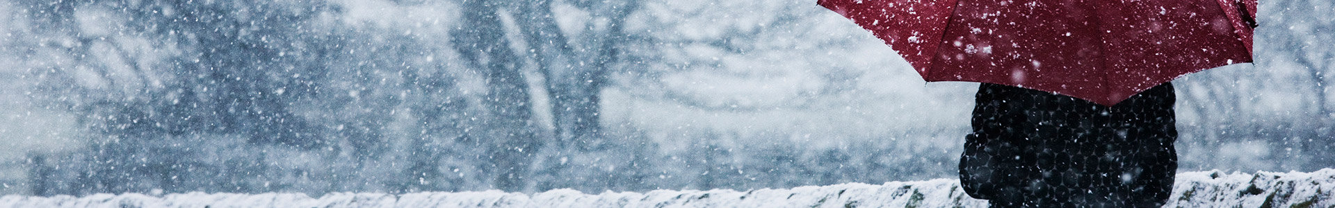 Person walking with umbrella while snow is falling