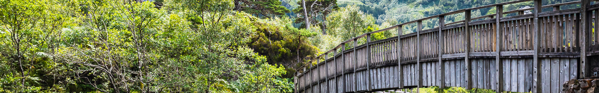 Bridge over a river at the foot of a mountain