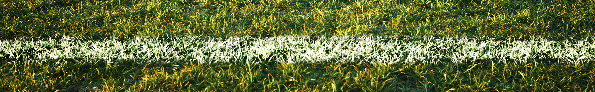 Rugby pitch try-line