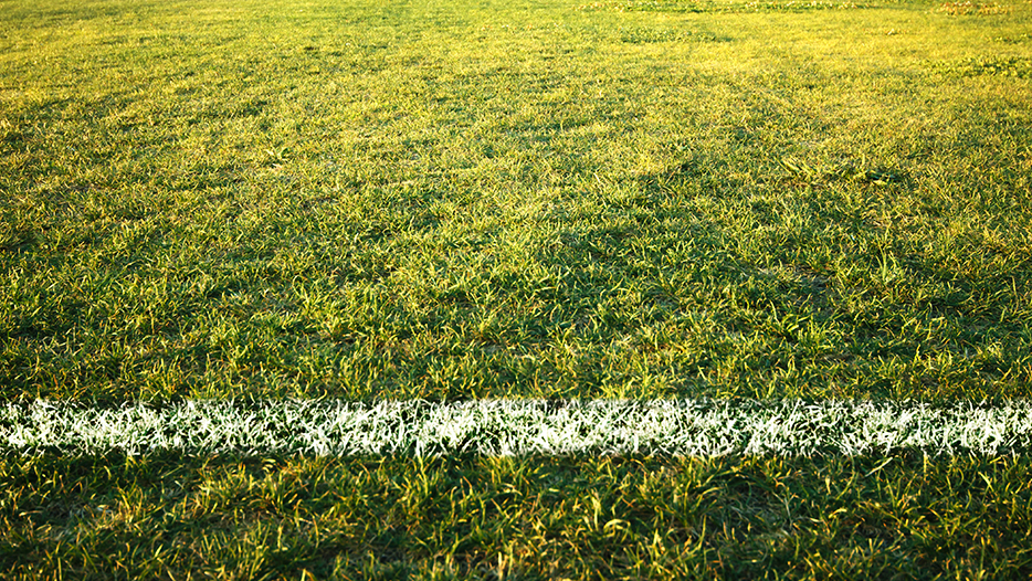 Rugby pitch try-line