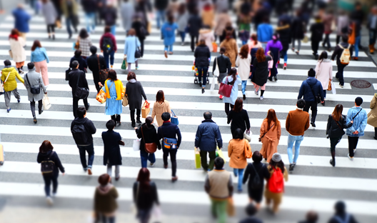 crowd