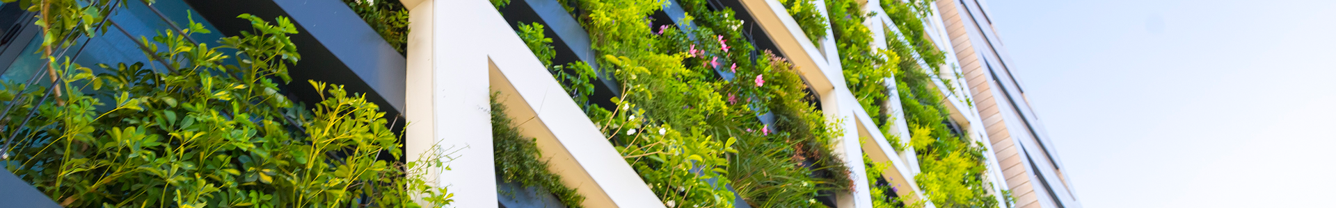Commercial property