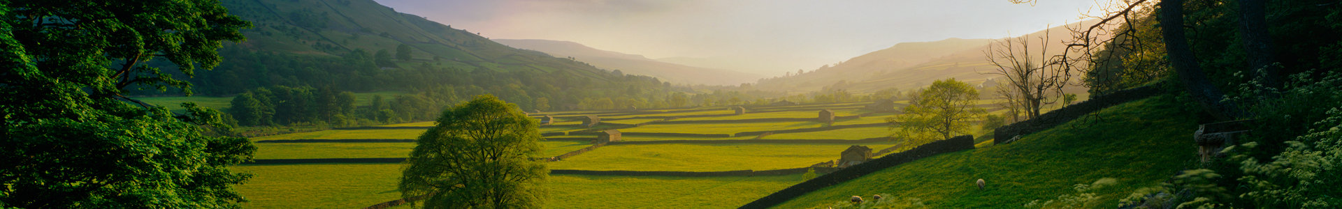 Countryside