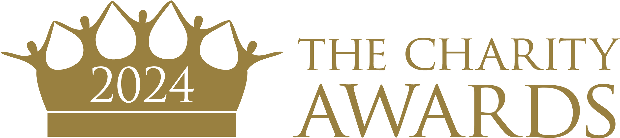 The Charity Awards 2024 logo