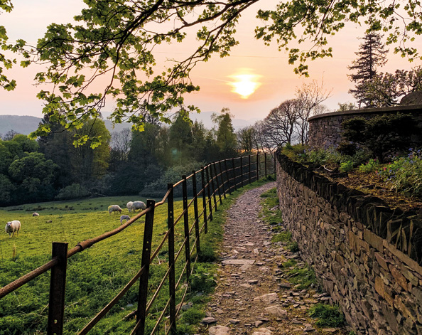 Walking in the evening