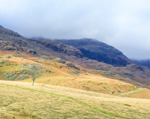 Hills in the countryside