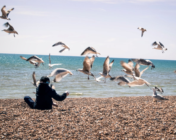 Seaguls on Bristol beach
