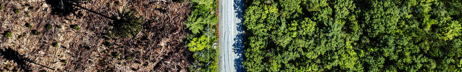 Carbon Footprint