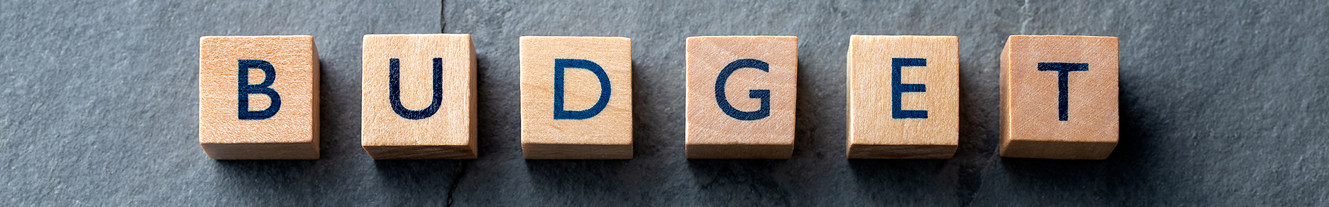 Budget displayed on letter blocks