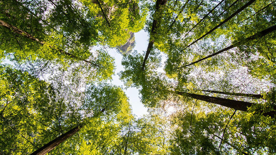 Founder and family businesses – a sustainable future