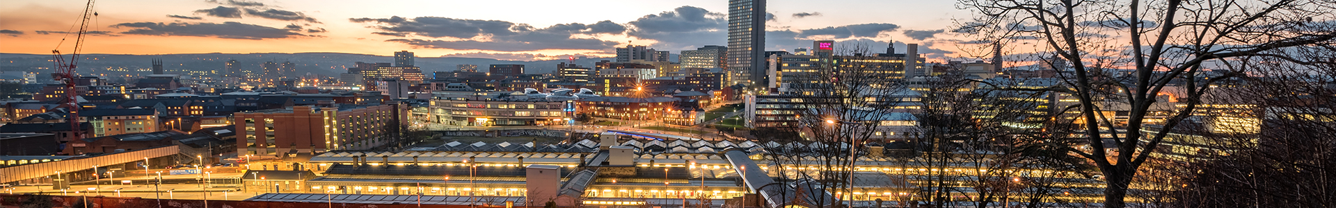 Sheffield skyline from steps