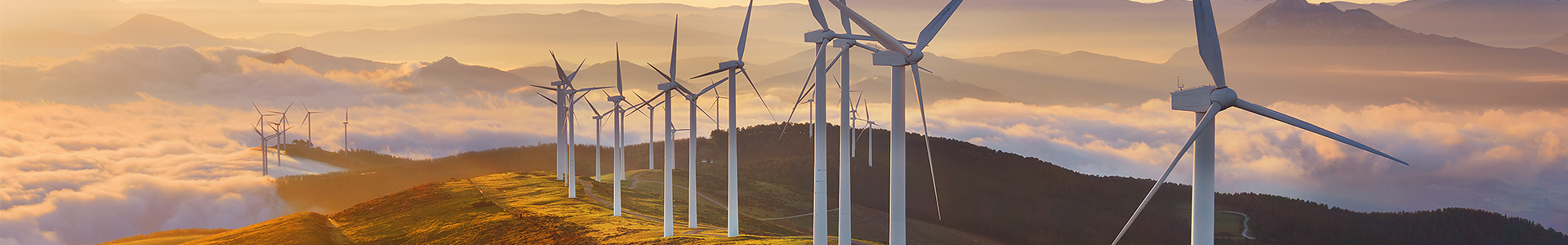 Wind farm