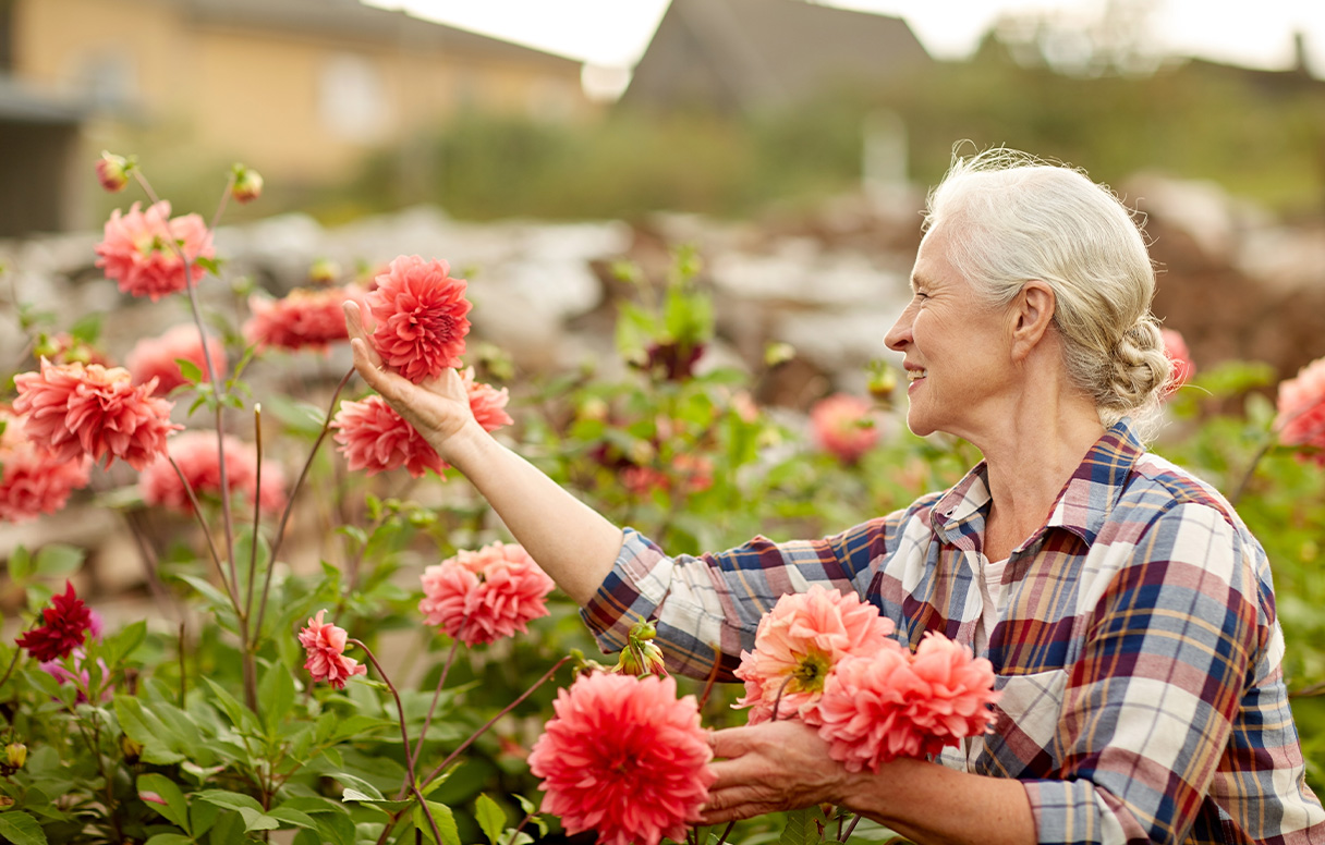 Image of an older lady picking flowers from her garden