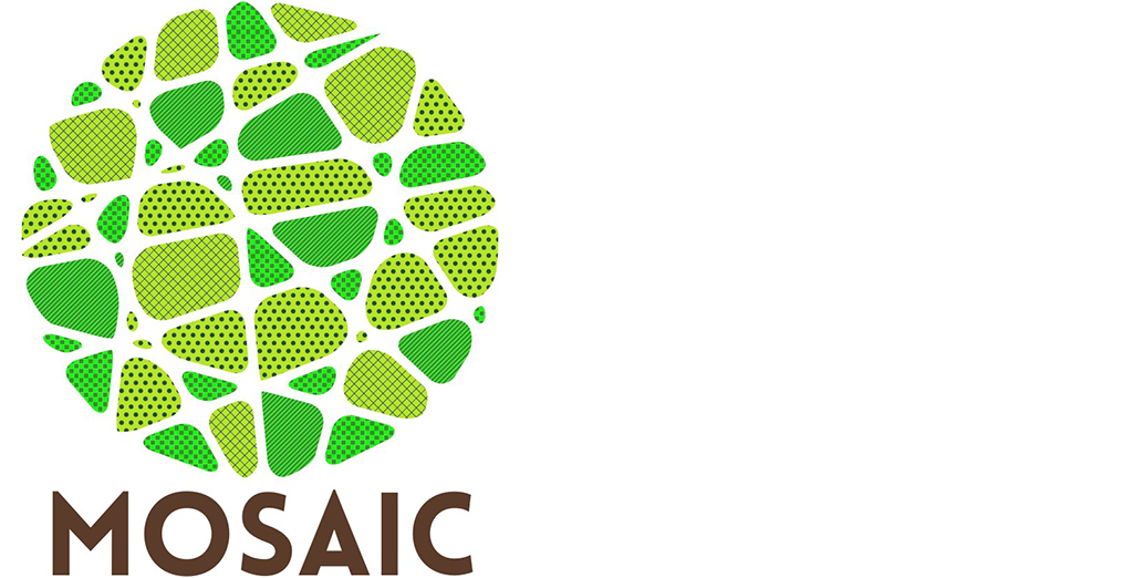 Wild mosaic logo