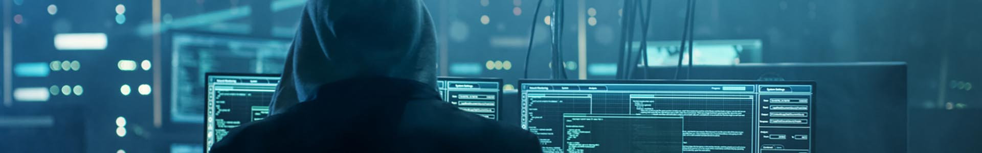 cyber crime 