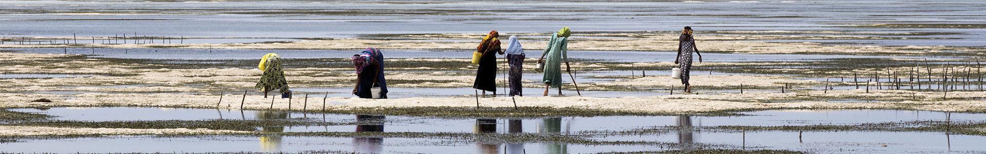 Water crisis