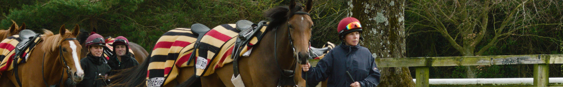 Ballydoyle training facility