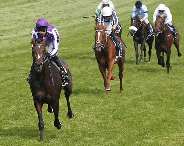 Aidan O'Brien Investec Derby winning trainer in 2012