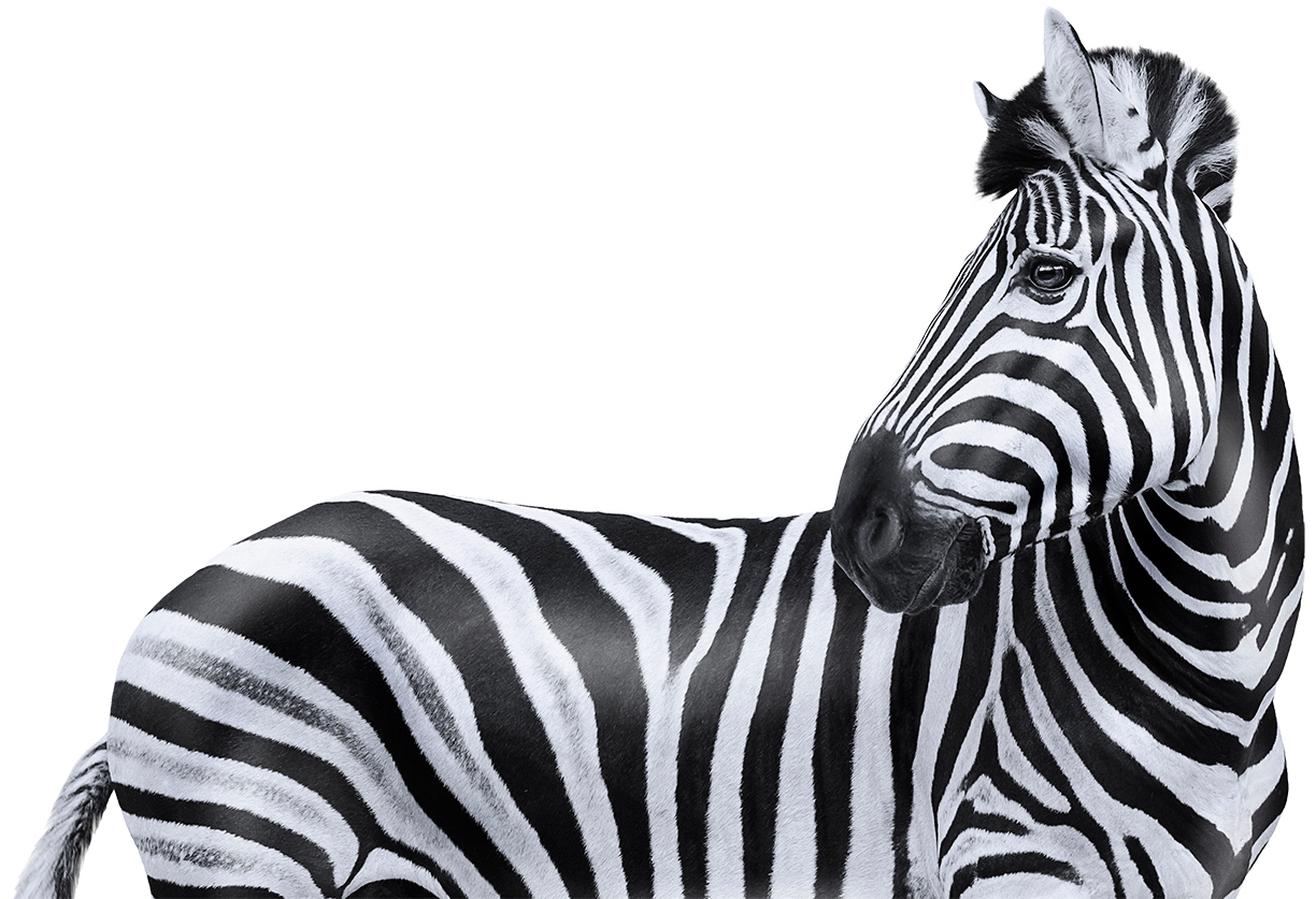 Welcome to Investec